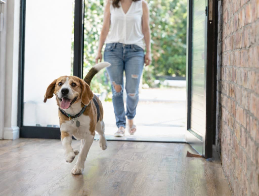 Welcoming moment at home